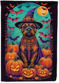 Caroline's Treasures DAC1484CHF Border Terrier Witchy Halloween House Flag Large Porch Sleeve Pole Decorative Outside Yard Banner Artwork Wall Hanging, Polyester, House Size, Multicolor