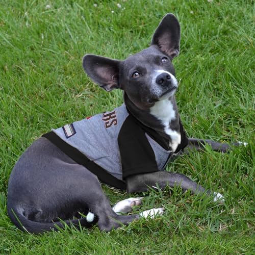 MLB Hoodie Shirt for Dogs & Cats - Arizona Diamondbacks Dog Hooded T-Shirt, Large. - MLB Team Color Hoody Vest for Baseball Fans