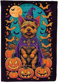 Caroline's Treasures DAC1521GF Norwich Terrier Witchy Halloween Garden Flag Mailbox Flag Decorative Yard Flag Banner Outside Patio Artwork Yard Flower Beds, Garden Size, Multicolor