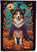 Caroline's Treasures DAC1533GF Sheltie Witchy Halloween Garden Flag Mailbox Flag Decorative Yard Flag Banner Outside Patio Artwork Yard Flower Beds, Garden Size, Multicolor