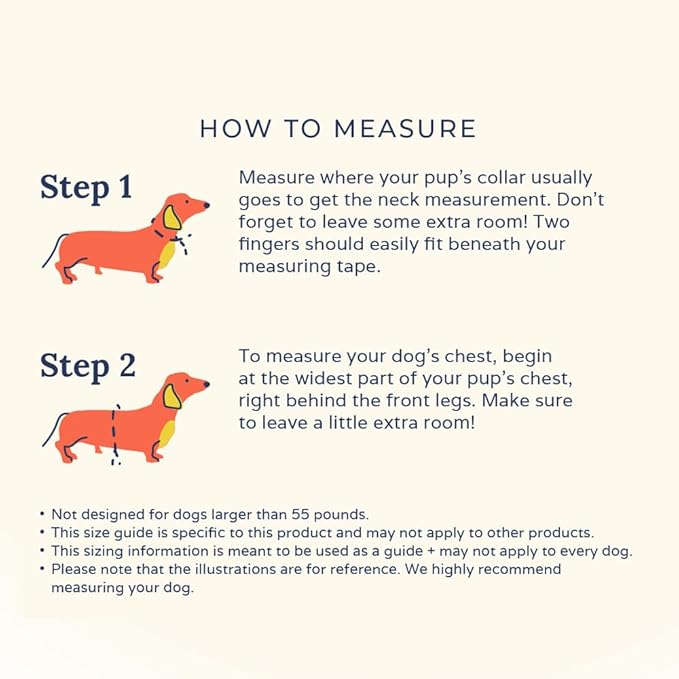 Lucy & Co. Cute Reversible Dog Harness Walking Halter - Image 8