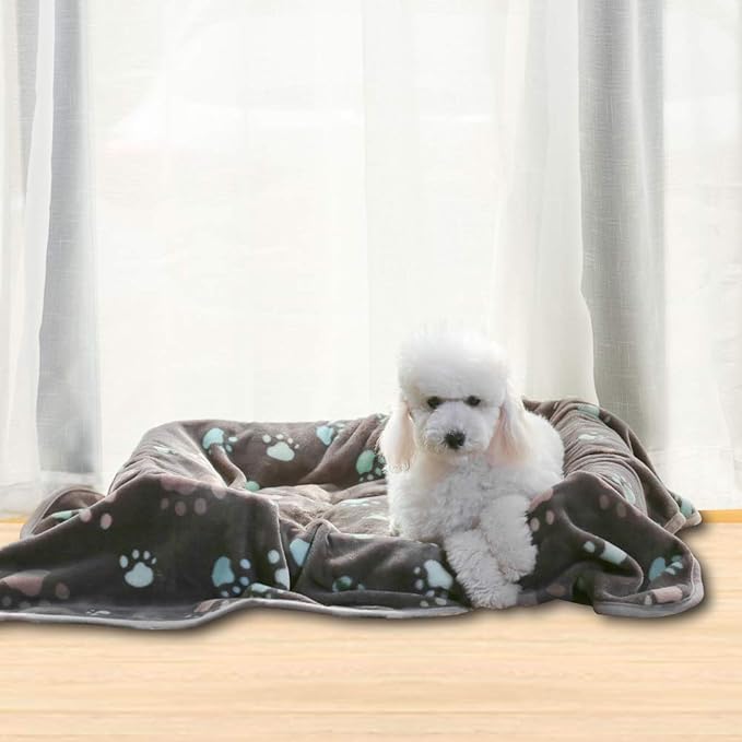 Allisandro Super Soft and Premium Fuzzy Flannel Fleece Pet Dog Blanket - Image 6