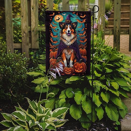 Caroline's Treasures DAC1533GF Sheltie Witchy Halloween Garden Flag Mailbox Flag Decorative Yard Flag Banner Outside Patio Artwork Yard Flower Beds, Garden Size, Multicolor