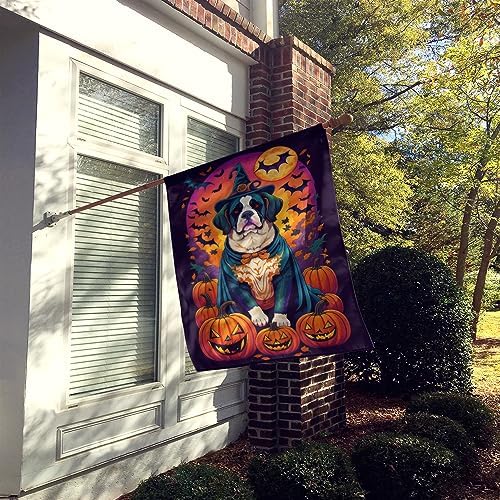 Caroline's Treasures DAC1530CHF Saint Bernard Witchy Halloween House Flag Large Porch Sleeve Pole Decorative Outside Yard Banner Artwork Wall Hanging, Polyester, House Size, Multicolor