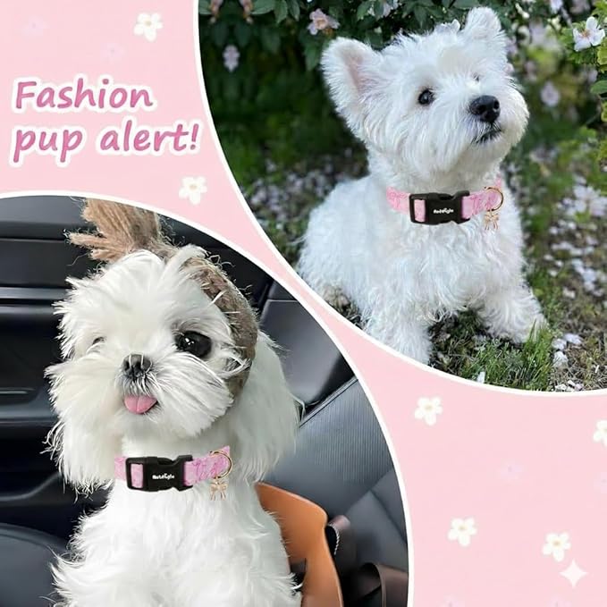 Large Dog Collar, Girl Boy Dog Collars - Image 4