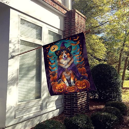 Caroline's Treasures DAC1533CHF Sheltie Witchy Halloween House Flag Large Porch Sleeve Pole Decorative Outside Yard Banner Artwork Wall Hanging, Polyester, House Size, Multicolor