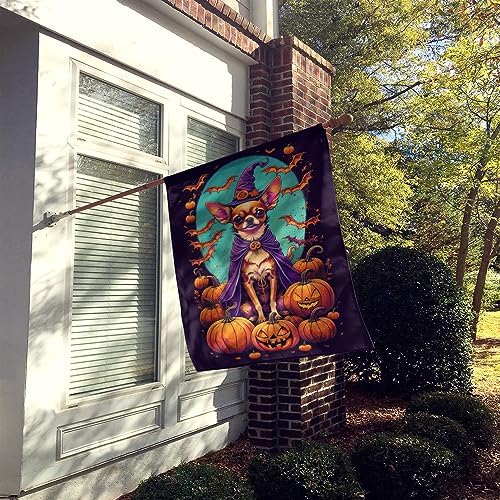 Caroline's Treasures DAC1496CHF Chihuahua Witchy Halloween House Flag Large Porch Sleeve Pole Decorative Outside Yard Banner Artwork Wall Hanging, Polyester, House Size, Multicolor