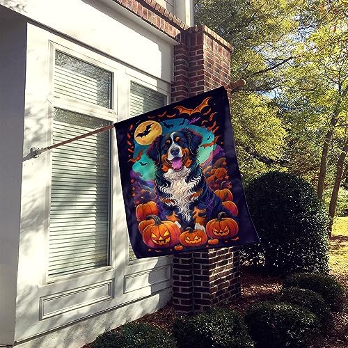 Caroline's Treasures DAC1480CHF Bernese Mountain Dog Witchy Halloween House Flag Large Porch Sleeve Pole Decorative Outside Yard Banner Artwork Wall Hanging, Polyester, House Size, Multicolor