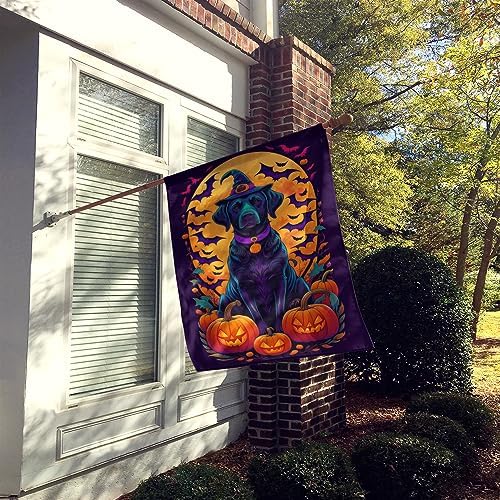 Caroline's Treasures DAC1516CHF Black Labrador Retriever Witchy Halloween House Flag Large Porch Sleeve Pole Decorative Outside Yard Banner Artwork Wall Hanging, Polyester, House Size, Multicolor