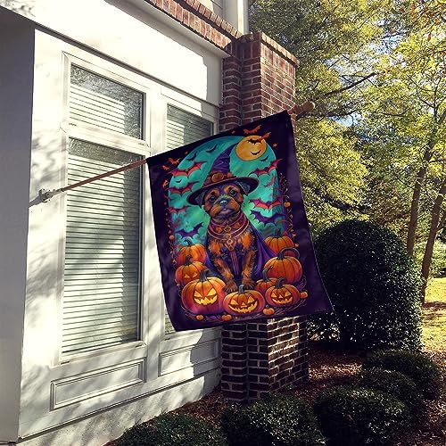 Caroline's Treasures DAC1484CHF Border Terrier Witchy Halloween House Flag Large Porch Sleeve Pole Decorative Outside Yard Banner Artwork Wall Hanging, Polyester, House Size, Multicolor