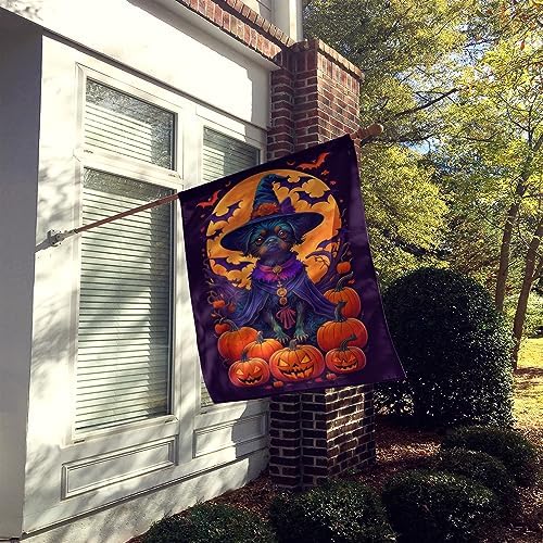 Caroline's Treasures DAC1466CHF Affenpinscher Witchy Halloween House Flag Large Porch Sleeve Pole Decorative Outside Yard Banner Artwork Wall Hanging, Polyester, House Size, Multicolor
