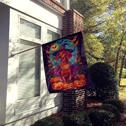 Caroline's Treasures DAC1503CHF Dachshund Witchy Halloween House Flag Large Porch Sleeve Pole Decorative Outside Yard Banner Artwork Wall Hanging, Polyester, House Size, Multicolor