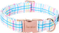 Unique style paws Dog Collar Metal Buckle Collar Gift by Uniquestylepaws