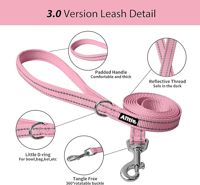 AIITLE Step in Dog Harness and Leash Set - Image 3