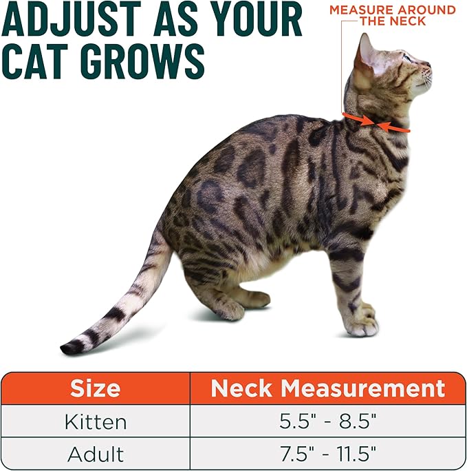 OutdoorBengal Durable Cat Collar Breakaway - Image 5