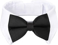 Segarty Bow Tie Cat Collar for Neck Girth 8.8-10.5 in, Tux Puppies Dog Bowtie by Segarty