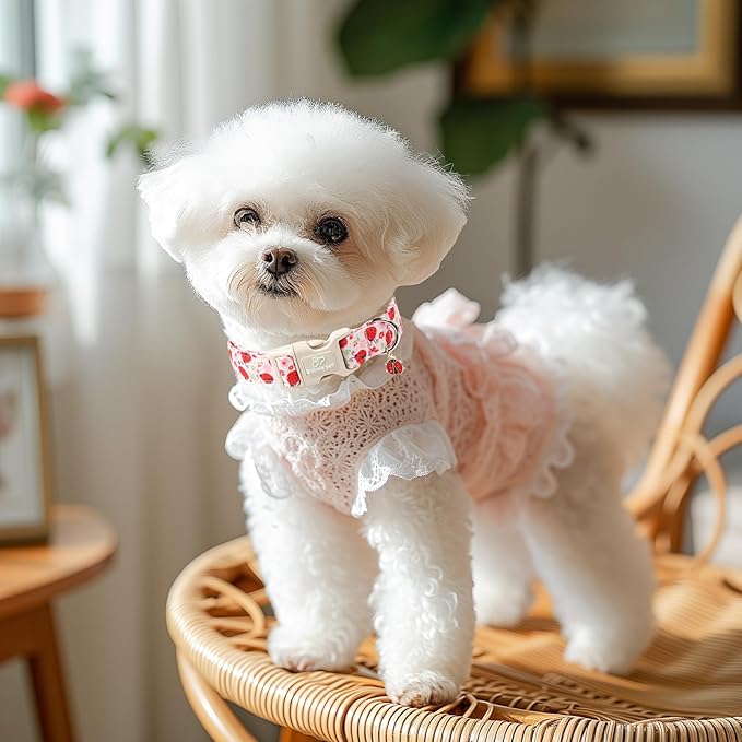 Lucky Ladybug Dog Collar for Small Dogs - Image 2