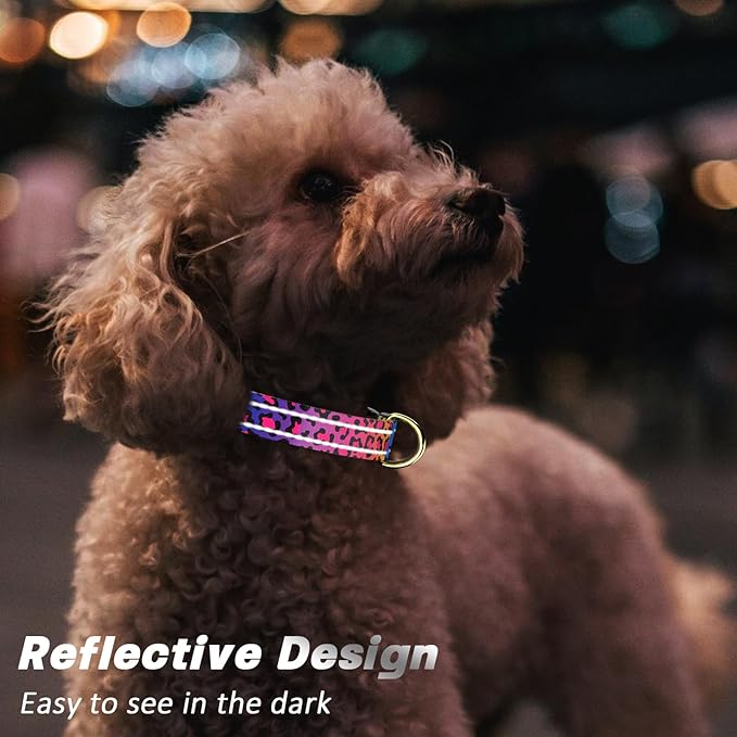 Reflective Dog Collar for Extra Small Dogs Cats, Cute Leopard Style Adjustable - Image 3