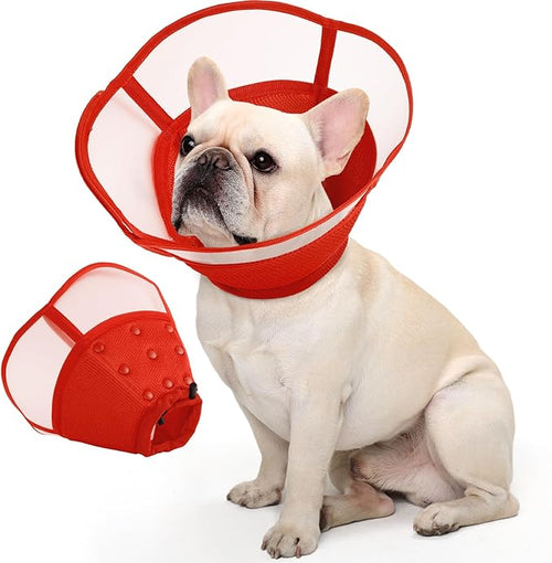 Allroaring Dog Cone, Soft Dog Cones by Allroaring