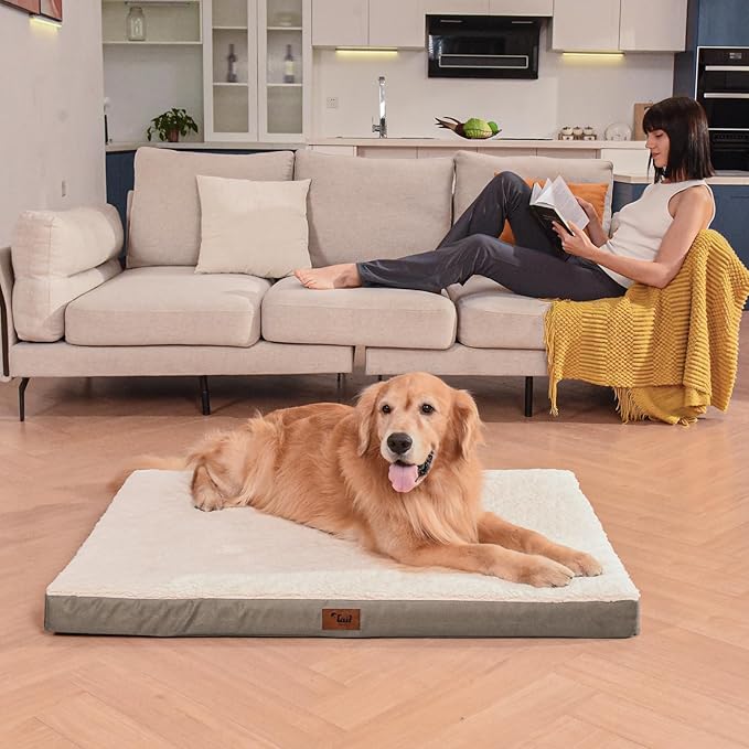 Orthopedic Dog Bed for Large Dogs, Plush Washable Pet Bed for Large Size Dogs - Image 6