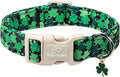 St Patricks Day Dog Collar for Puppy Small Dogs by Babolepet
