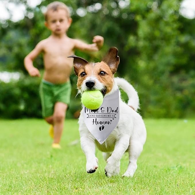 Mom & Dad are Getting Me a Human Dog Bandana Pregnancy Announcement - Image 5