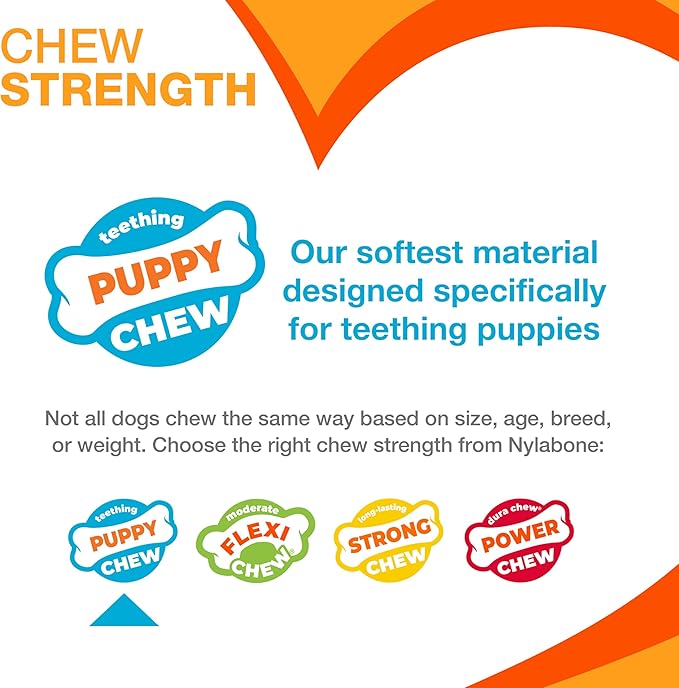 Nylabone Puppy Chew Key Ring Toy, Toys - Image 5