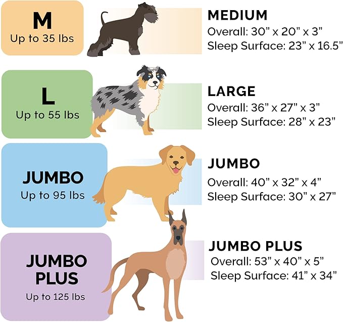 Furhaven Orthopedic Dog Bed for Medium/Small Dogs w/ Removable Bolsters & - Image 6