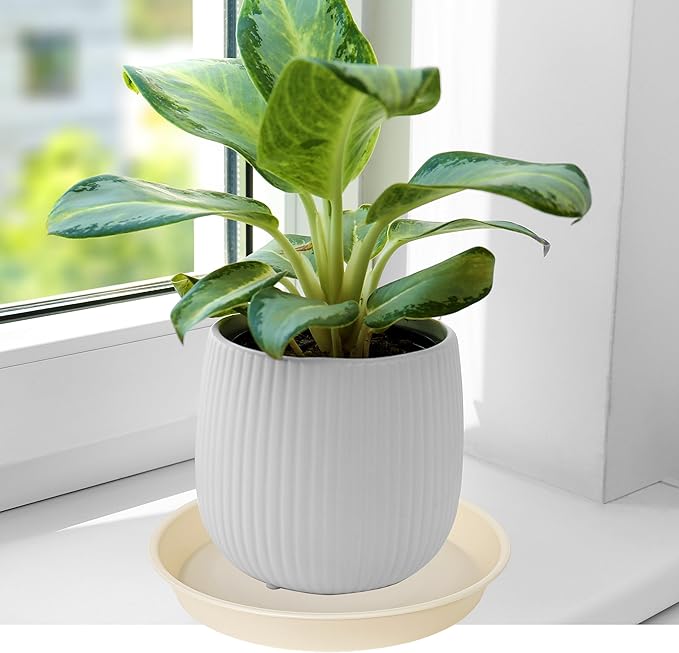 6 Pack of 7 inch Plant Saucer Clear, Heavy Duty Plastic Plant Water Tray 7 inch - Image 4