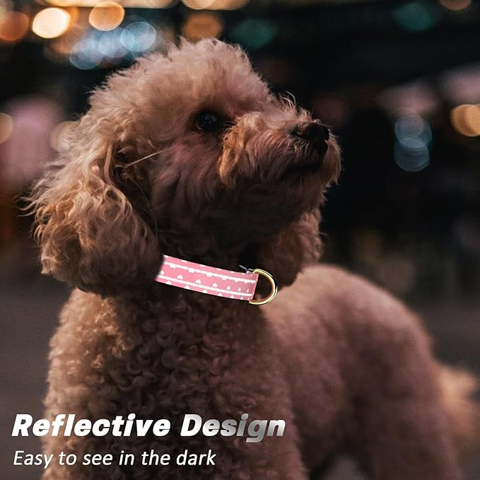 Reflective Dog Collar for Small Dogs, Cute Adjustable Heavy-Duty Nylon Puppy - Image 3
