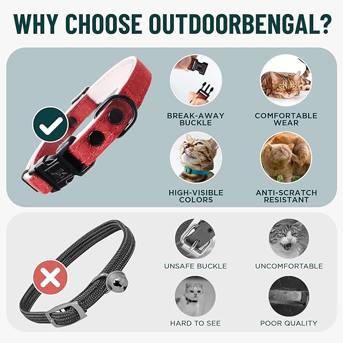 OutdoorBengal Black Breakaway Kitten Collar - Image 3