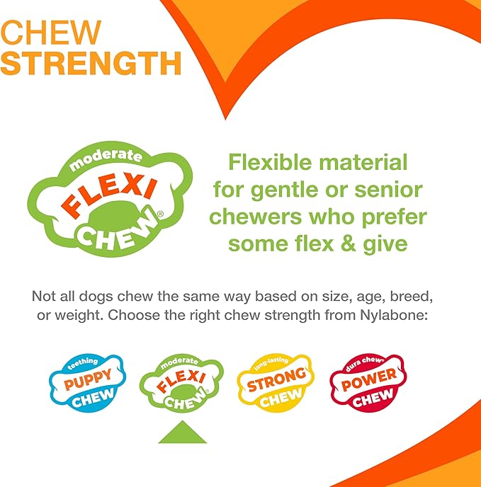 Nylabone Original Bone Flexi Chew Toy Value Pack - Image 4