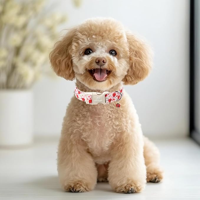 Lucky Ladybug Dog Collar for Puppy Small Dogs - Image 6