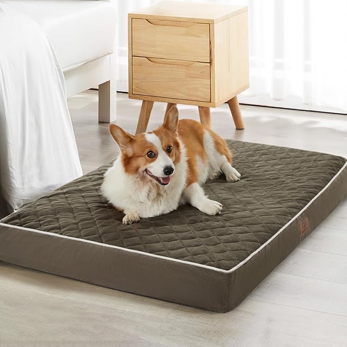 WNPETHOME Orthopedic Big Dog Beds Large Sized Dog, Waterproof Extra Large Dogs by WNPETHOMEPETSHOME