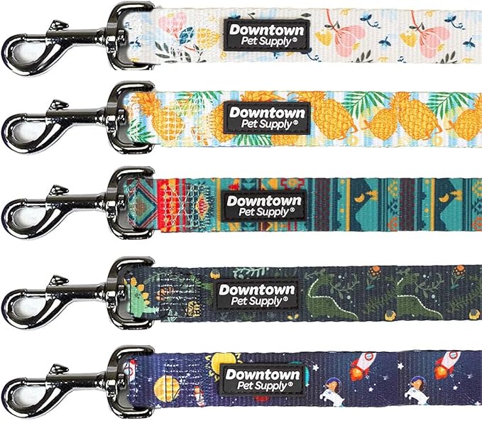 Downtown Pet Supply 5ft Heavy-Duty Dog Leash by DowntownPetSupply