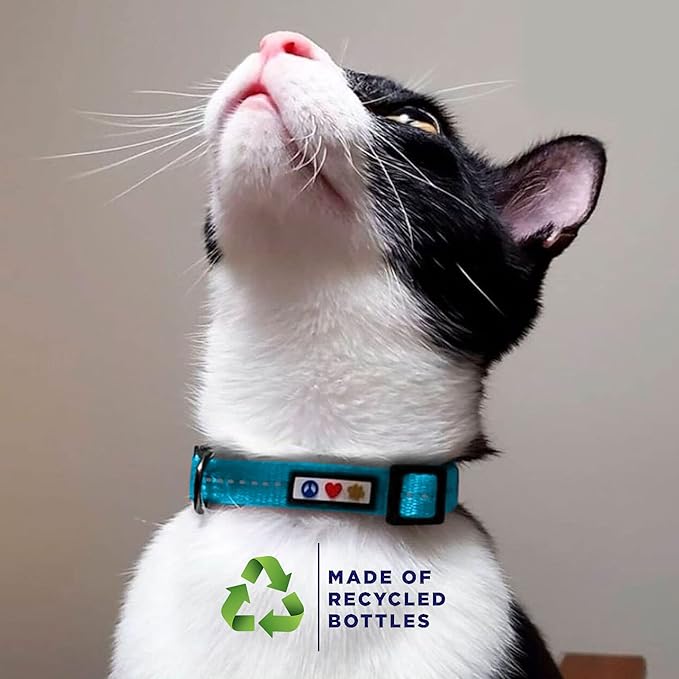 Pawtitas Recycled Green Reflective Cat Collar – Eco-Friendly Breakaway Safety - Image 3