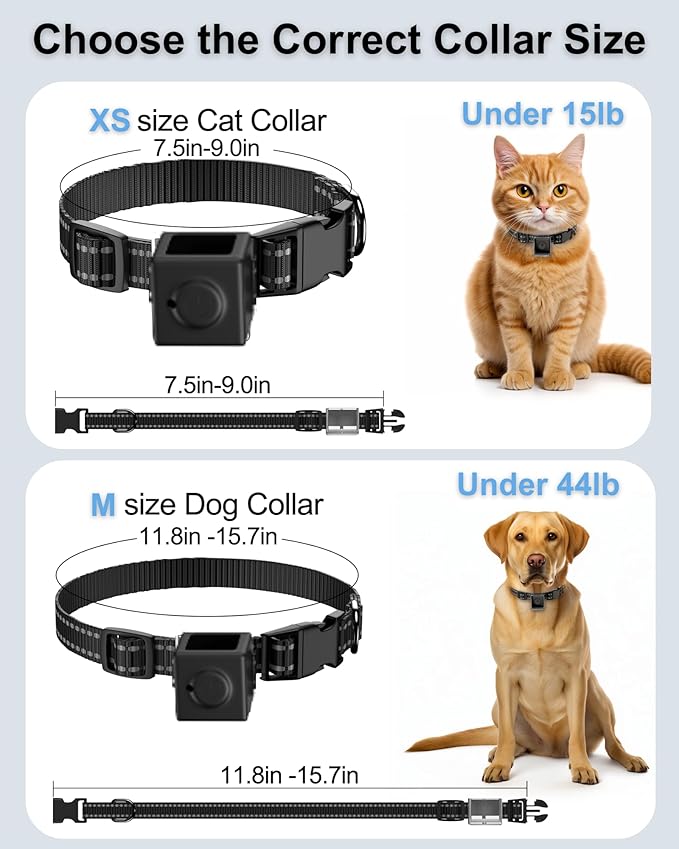 Cat Camera Collar 1080P HD Video Recording Pet POV Cam, NO WiFi NO APP - Image 7