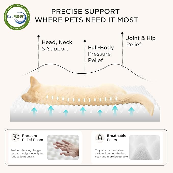 Bedsure XL Dog Beds Large Sized Dog -Comfy Flat Extra Large Pet Beds - Image 3