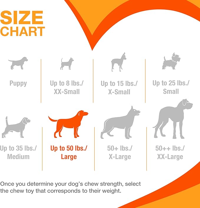 Nylabone Customer Favorites Power Chew Toy Bundle - Image 6