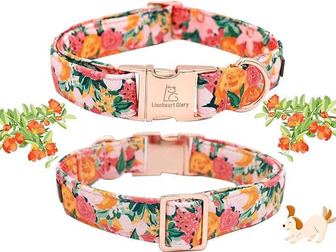 Lionheart Glory Dog Collar, Dog Collar - Image 4