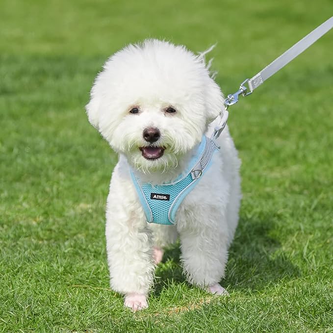 AIITLE Step in Dog Harness and Leash Set - Image 7