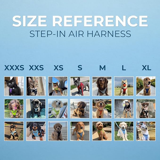 Voyager Step-in Air Dog Harness - Image 7
