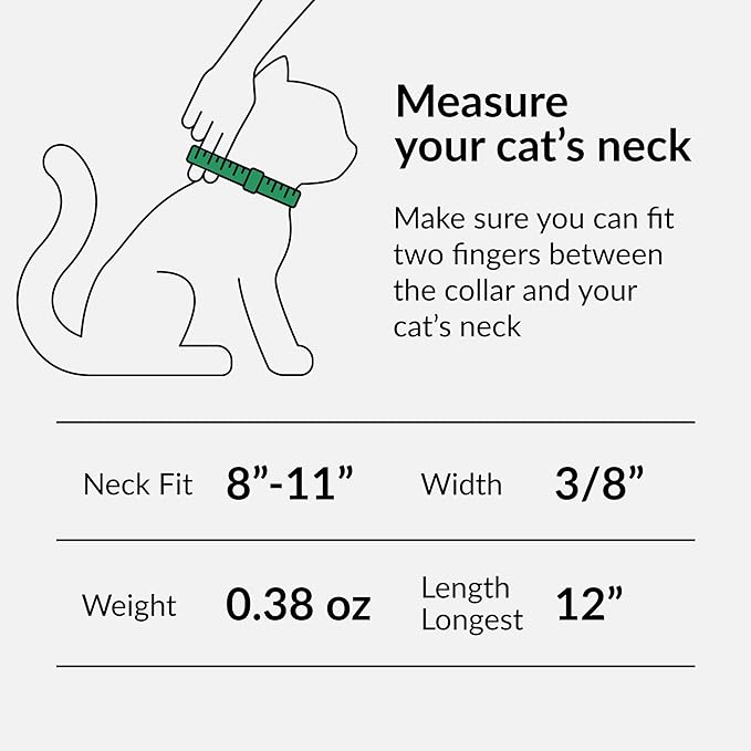 CollarDirect Leather Cat Collar, Cat Safety Collar - Image 2