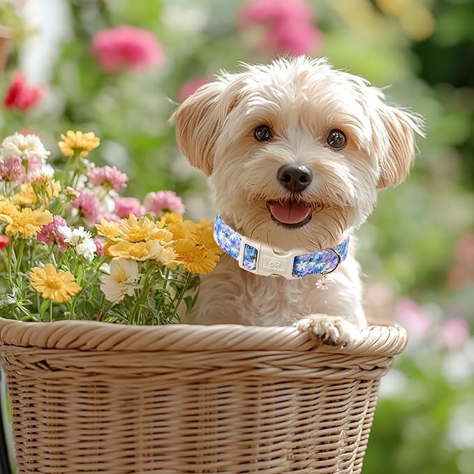 Floral Dog Collar for Medium Dogs - Image 6