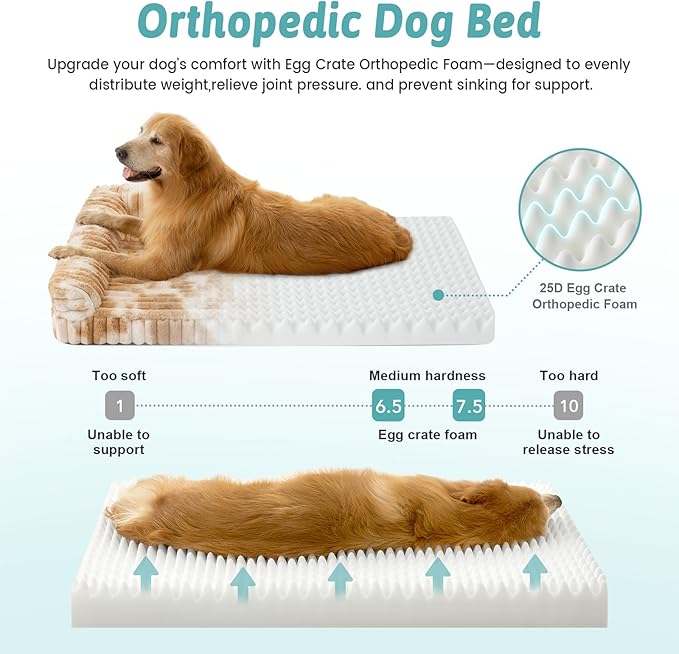 Cute Dog Bed, Faux Rabbit Fur Orthopedic Foam Dog Bed - Image 4
