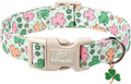 St Patricks Day Dog Collar for Puppy Small Dogs by Babolepet