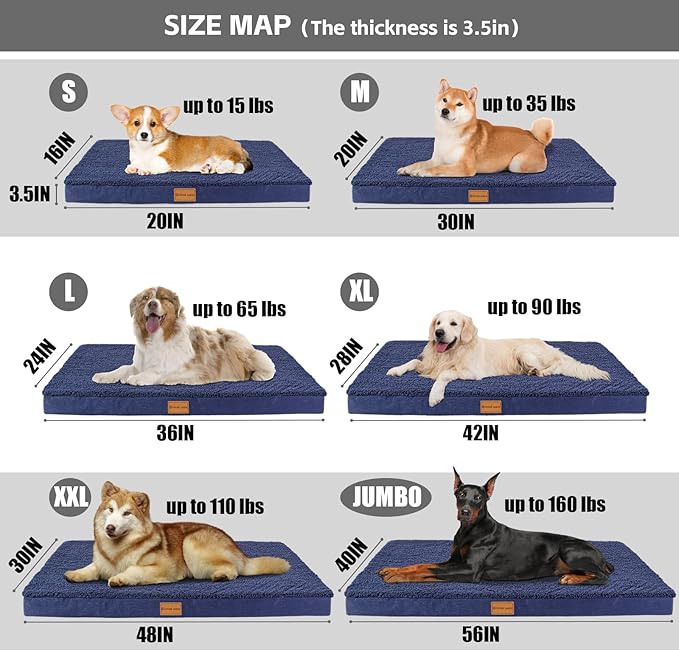 Patas Lague Orthopedic Dog Bed Large Sized Dog 36''X24'', Soft Waterproof Egg - Image 5