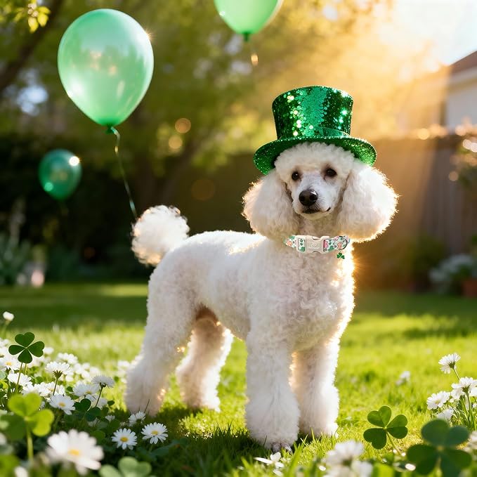 St Patricks Day Dog Collar for Giant Large Dogs - Image 2
