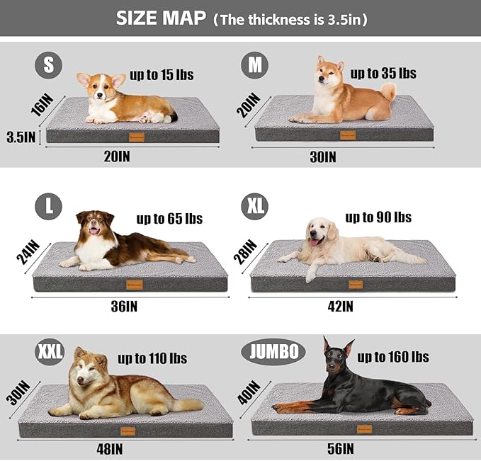 Patas Lague Orthopedic XL Dog Bed Large Sized Dog 42''X28'', Soft Waterproof - Image 5