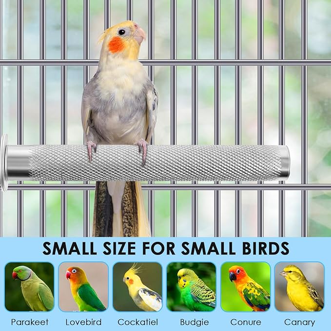 KATUMO Parrot Perch - Image 7